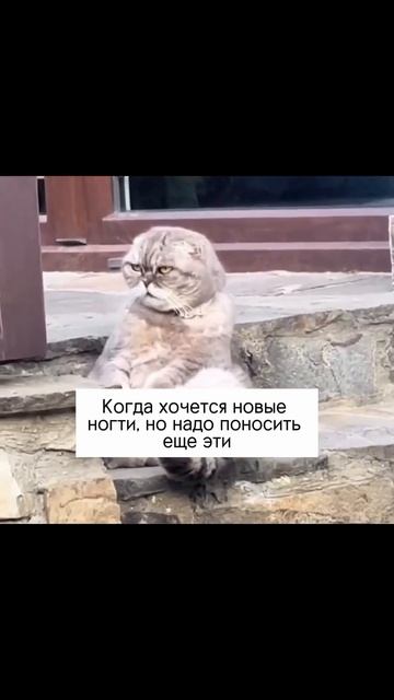 Титановые ногти / когда сделать новый маникюр / тренды смотреть онлайн
