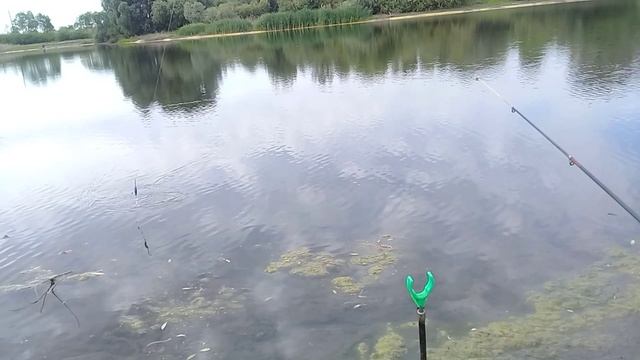 Это Клёво ! смотреть онлайн