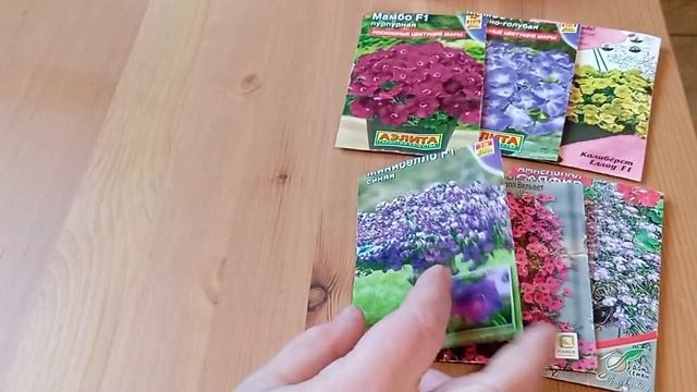 Результат первого посева ПЕТХОА, а так же петунии, сур смотреть онлайн