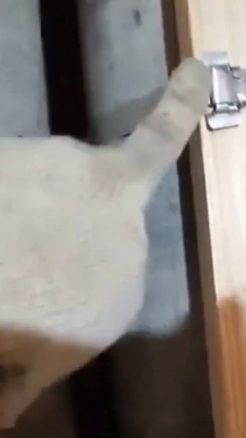 Крепление без перфоратора #крепление смотреть онлайн