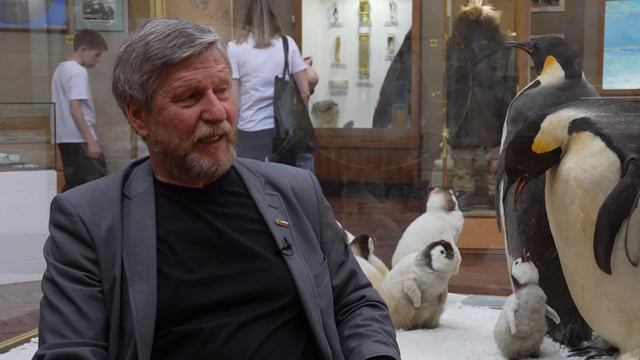 Музей Арктики И Антарктики