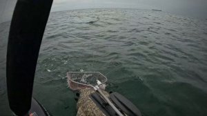 Троллинг Симы в Заливе Восток 15-16.05.2025
