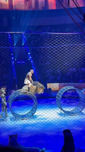 «Прыжок на льве» занесен в книгу рекордов Гиннесса смотреть онлайн