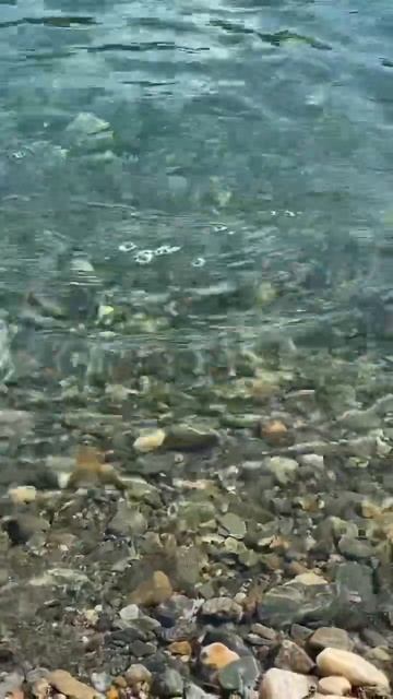 Рыбалка на хариуса #еданакостре #леснаякухня #природа смотреть онлайн