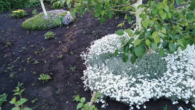 Есть глаза у цветов смотреть онлайн