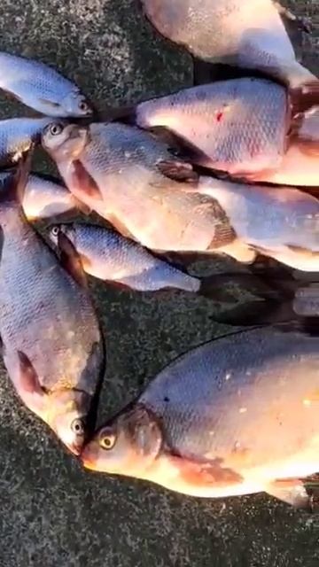 озеро таватуй