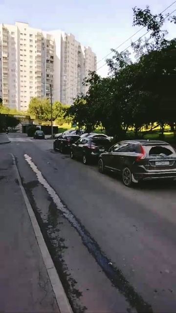 #бирюлево #летонаступило #июнь2022 #аунасводворе в тени ? смотреть онлайн