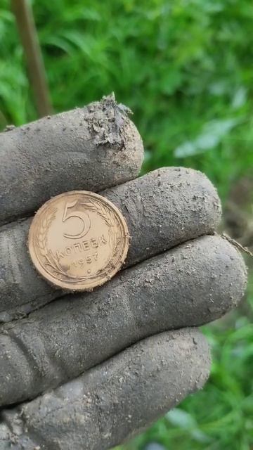 Экспресс коп перед дождём! Garrett Ace 400i #metaldetecting #коп #coin #ac