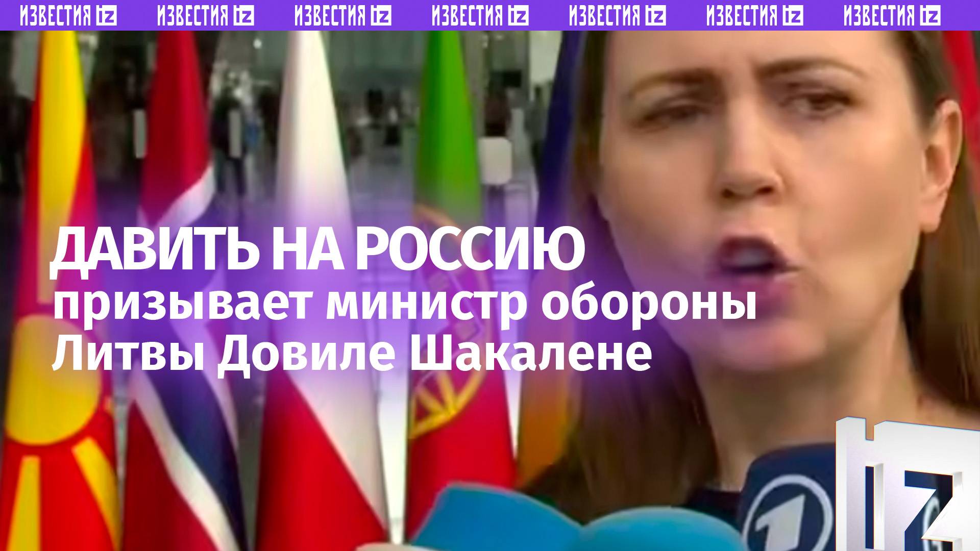 Недодовиле: давить на Россию сильнее призвала министр обороны Литвы Довиле Шакалене