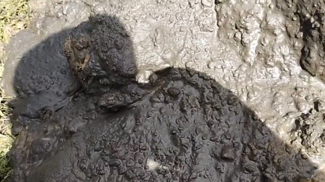 Ссоеди не хотят отказываться от колодца, приходится д? смотреть онлайн