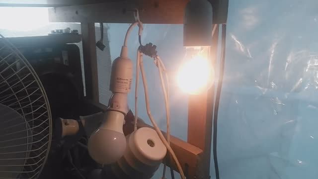 Солнечная электростанция «Дома» (Независимость) напряжения 220 Вольт, мощностью до 1 кВт