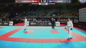 Каратэ Юсеф Бадави Эдуард Гаспарян