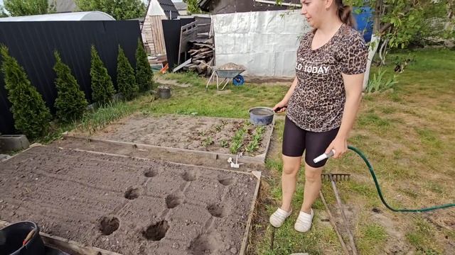 Живём как В ДЕРЕВНЕ!  Домашнее ХОЗЯЙСТВО прибавило хлопот, а В ТЕПЛИЦЕ уже есть первые посадки
