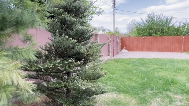 Дом с бассейном смотреть онлайн