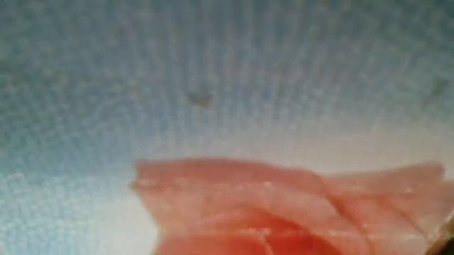 В царстве Деда Мороза и лесной тишины. Задремала берез смотреть онлайн