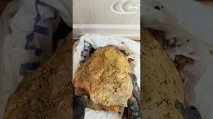 Незабудка чистка новая глина башкирская