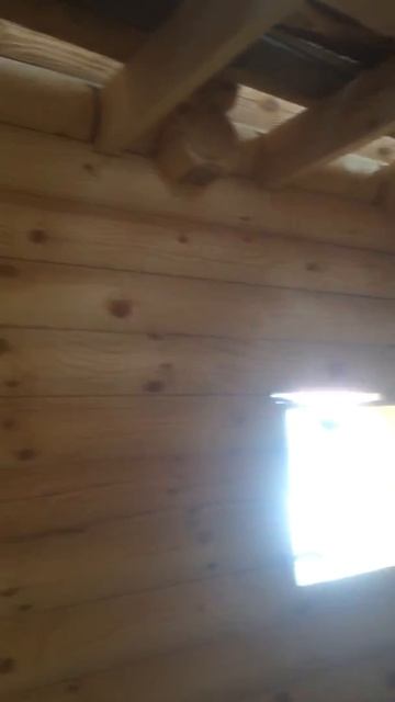 Срубы бань, домов из оцилиндрованного бревна смотреть онлайн