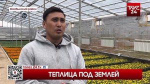 ТЕПЛИЦА ПОД ЗЕМЛЕЙ
