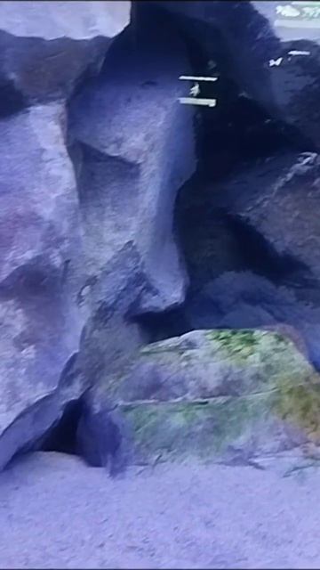 Океанариум ВДНХ, Москва, 2025, #подпишись смотреть онлайн