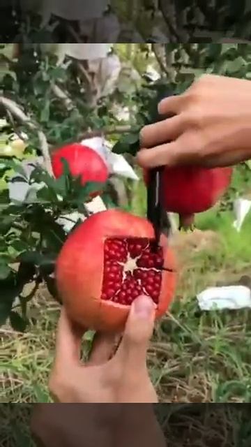 как надо разделывать гранат