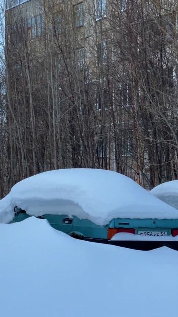 СЕВЕРНЫЕ ПОДСНЕЖНИКИ | город Мончегорск shortvideo #shorts смотреть онлайн