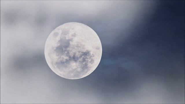 Самые страшные дни в августе 2023 года. смотреть онлайн