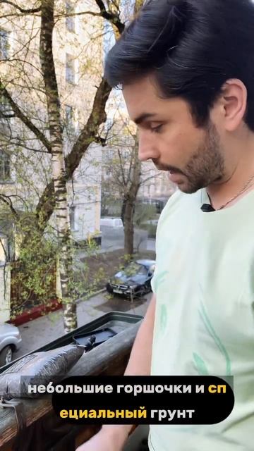 Пересаживаем адениум #цветы #адениум #цветоводство #се