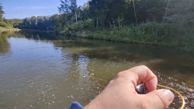 Ловля плотвы на мушки. Мормышинг на мухи. Крупная плот? смотреть онлайн