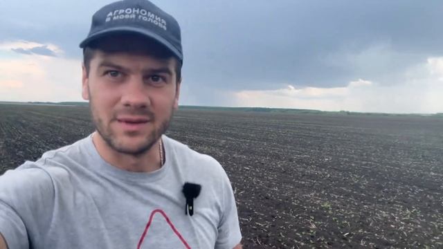 Всходы сои. Мезенка и Сирелия. КолхозАЧ24 смотреть онлайн