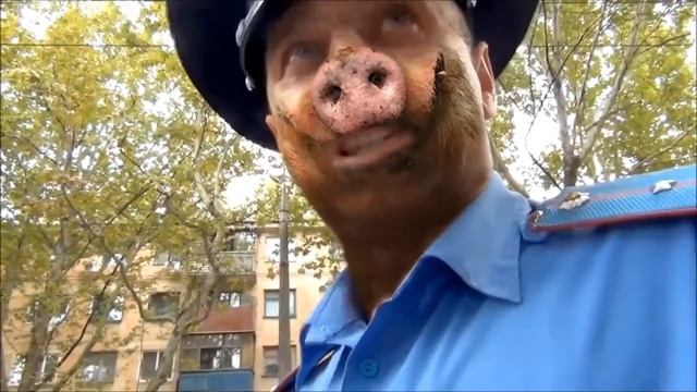 В гаи есть и такие!)) смотреть онлайн