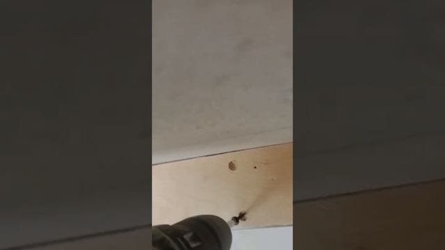 Дизайнерские ремонты в Оренбурге смотреть онлайн