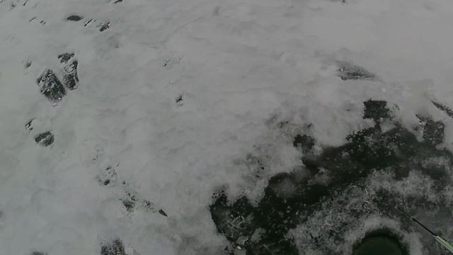 Рыбалка на балансиры.Ловля окуня на затоне реки Оки.Сп