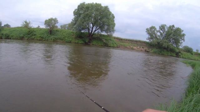 Вот что бывает когда у ГОЛАВЛЯ косоглазие. Ловля голав смотреть онлайн