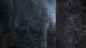 Прохождение Tomb Raider: Underworld - Часть 4. Южная Мексика