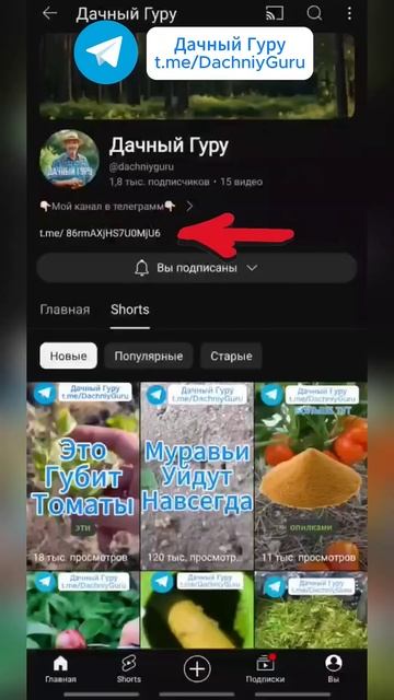 Сорняки уйдут за ДЕНЬ! #сорняк #грядки #огород #дача #ре? смотреть онлайн