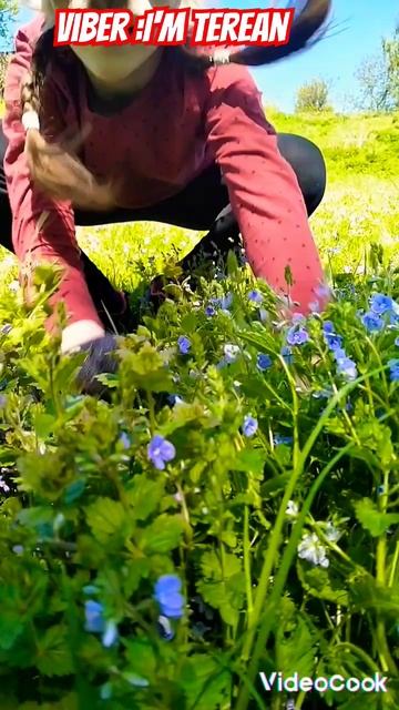 #shirt #therian #2024 #music #квадробика #котики смотреть онлайн