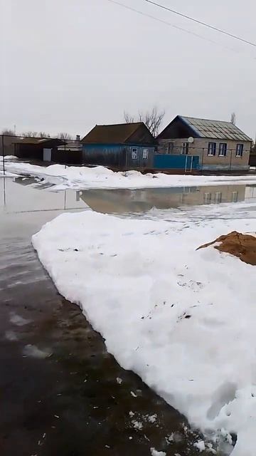 2023г волгоградская область смотреть онлайн