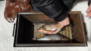 Копчение рыбы, коптим ЛЕЩА горячеим способом в коптил?