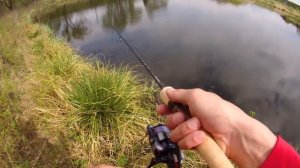 НОВИНКА! Спиннинг для голавля. Nautilus I'ZI.