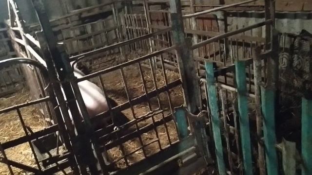 обігріваємо сарай буржуйка на скору руку смотреть онлайн