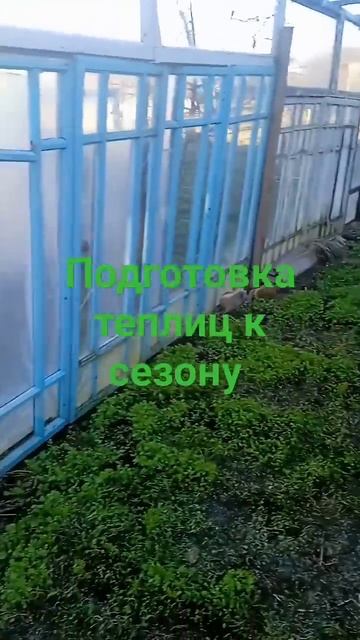 Теплицы в Карпатах смотреть онлайн