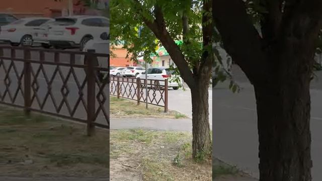 WhatsApp Video 2025-06-05 at 20.00.55 смотреть онлайн
