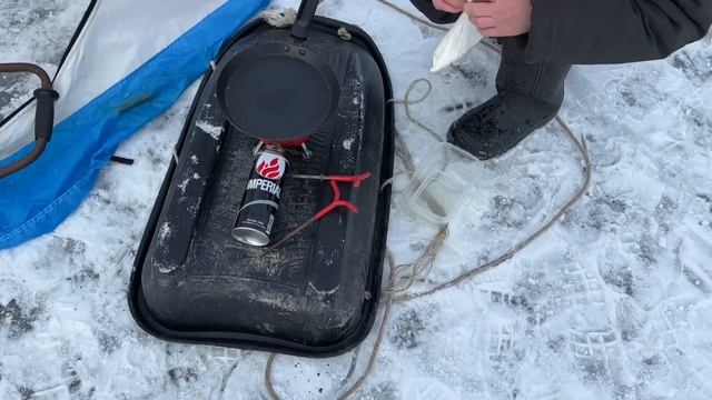 Корюшка малоротая открытие сезона подледного лова 2024