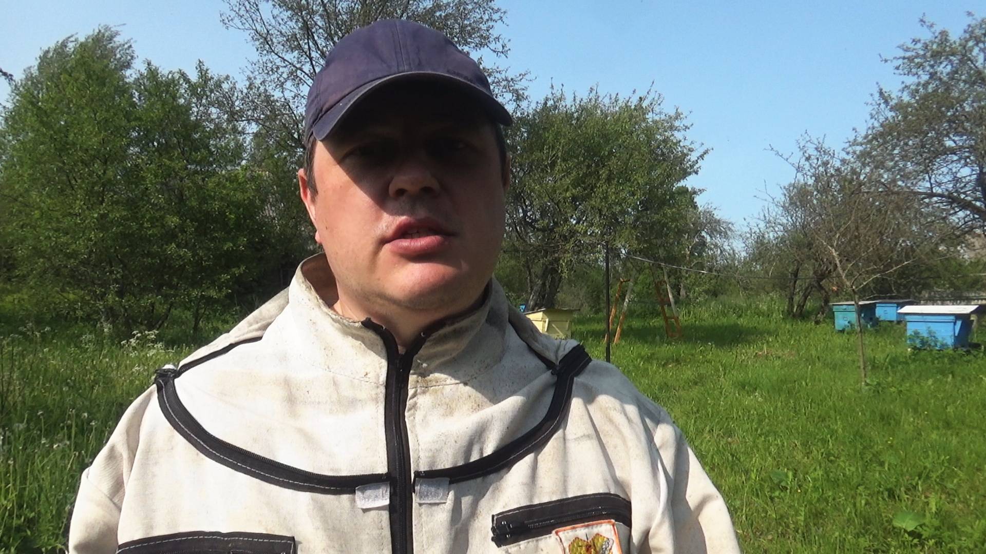 Как посадить пчелиный рой в улей чтобы не слетел. Гарантированная посадка пчелиного роя в улей.