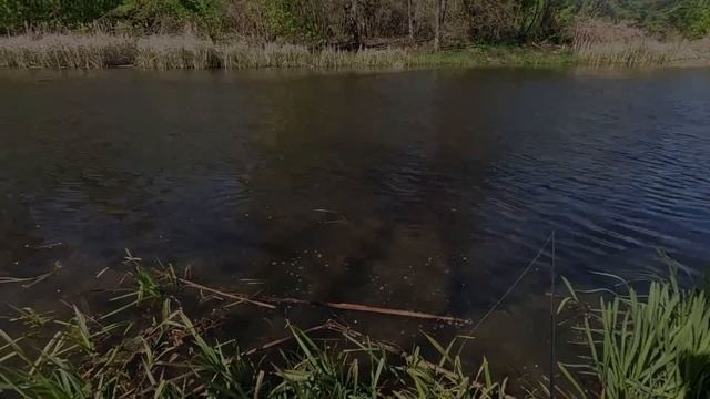 ✅️ОЦЕ ВОБЛЕР, 10 ЩУК ЗА ТРИ ГОДИНИ🔥💪