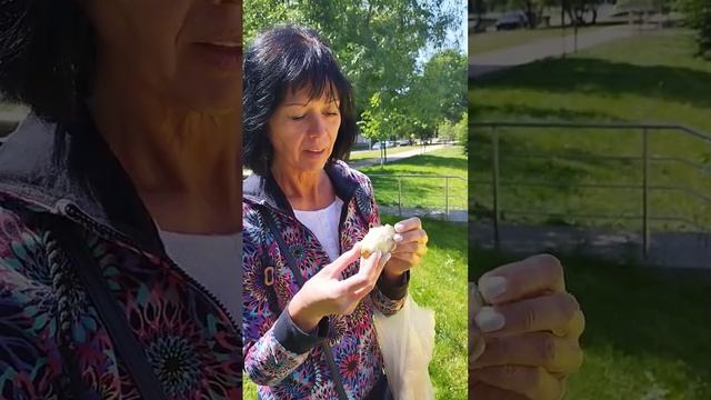 Аннона - отзыв случайного прохожего #аннона смотреть онлайн