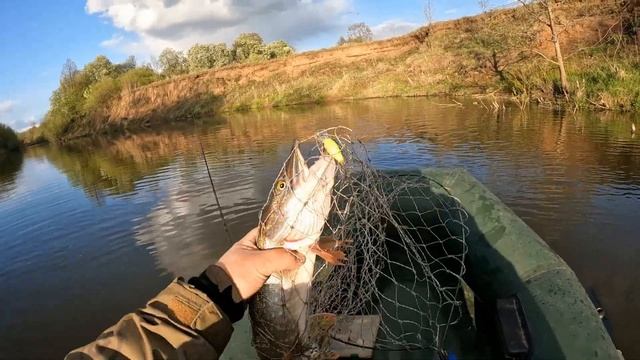 Воблер Zipbaits B-Switcher MDR Midget  и ОСОБЫЙ СПОСОБ ловли щук В БЕ