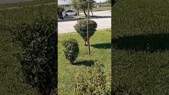 Есть чему радоваться в Греции! смотреть онлайн