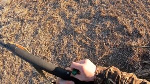 ГУСЬ САДИТСЯ ПРЯМО НА ГОЛОВУ! ОХОТА НА ГУСЯ 2025.