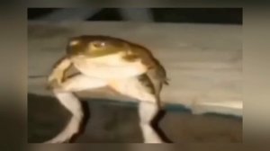 ЧЕЛОВЕК ПРЕВРАТИЛСЯ В МОНСТРА (обзор Godzilla Analog Horror)